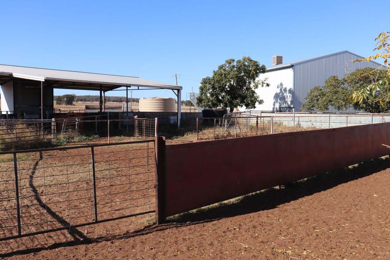 Crowley Road, Trundle For Sale by Farmbuy.com - image 8
