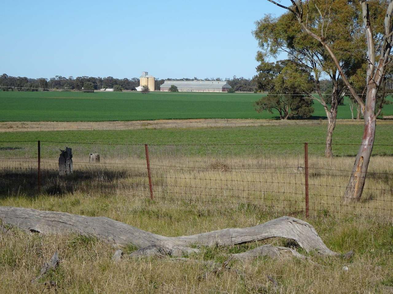 Crowley Road, Trundle For Sale by Farmbuy.com - image 12
