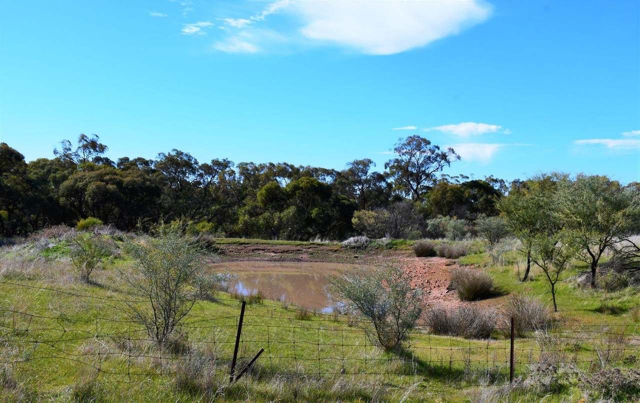 166  Pengilly Road, WILMINGTON Auction by Farmbuy.com - image 10