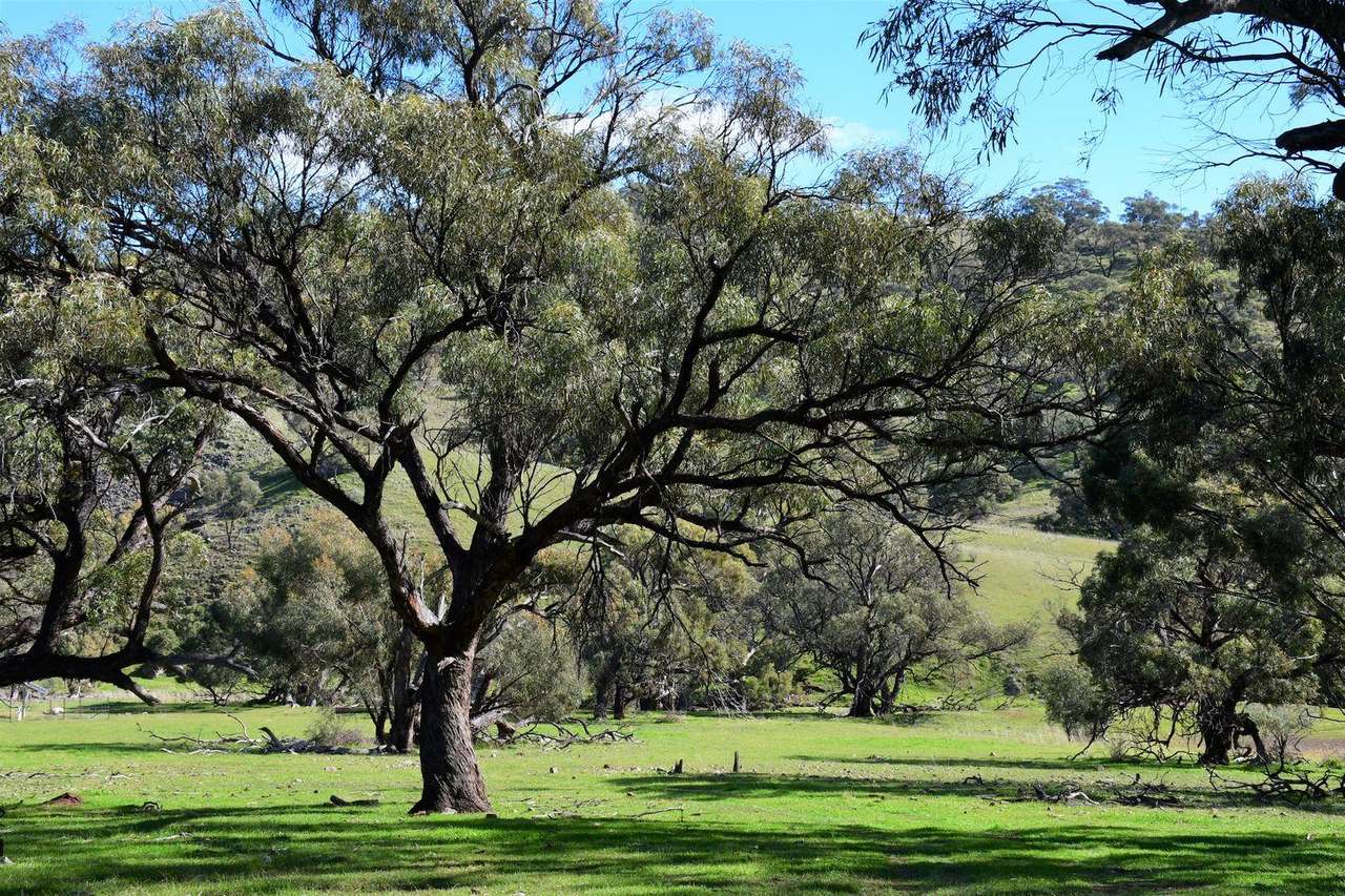 166  Pengilly Road, WILMINGTON Auction by Farmbuy.com - image 8