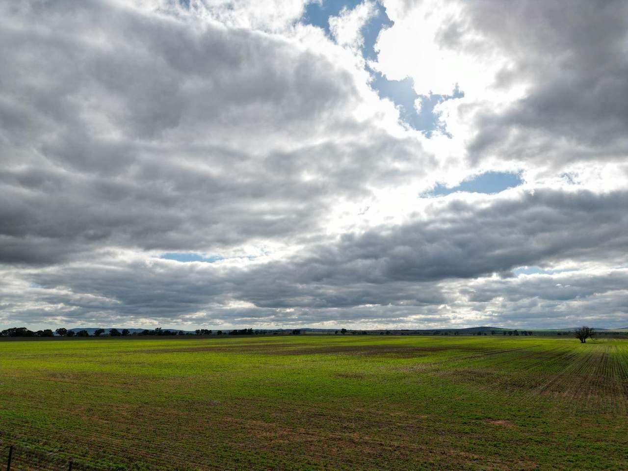 Bowmans Road & Borlace Road, Bowmans Expressions of Interest by Farmbuy.com - image 9