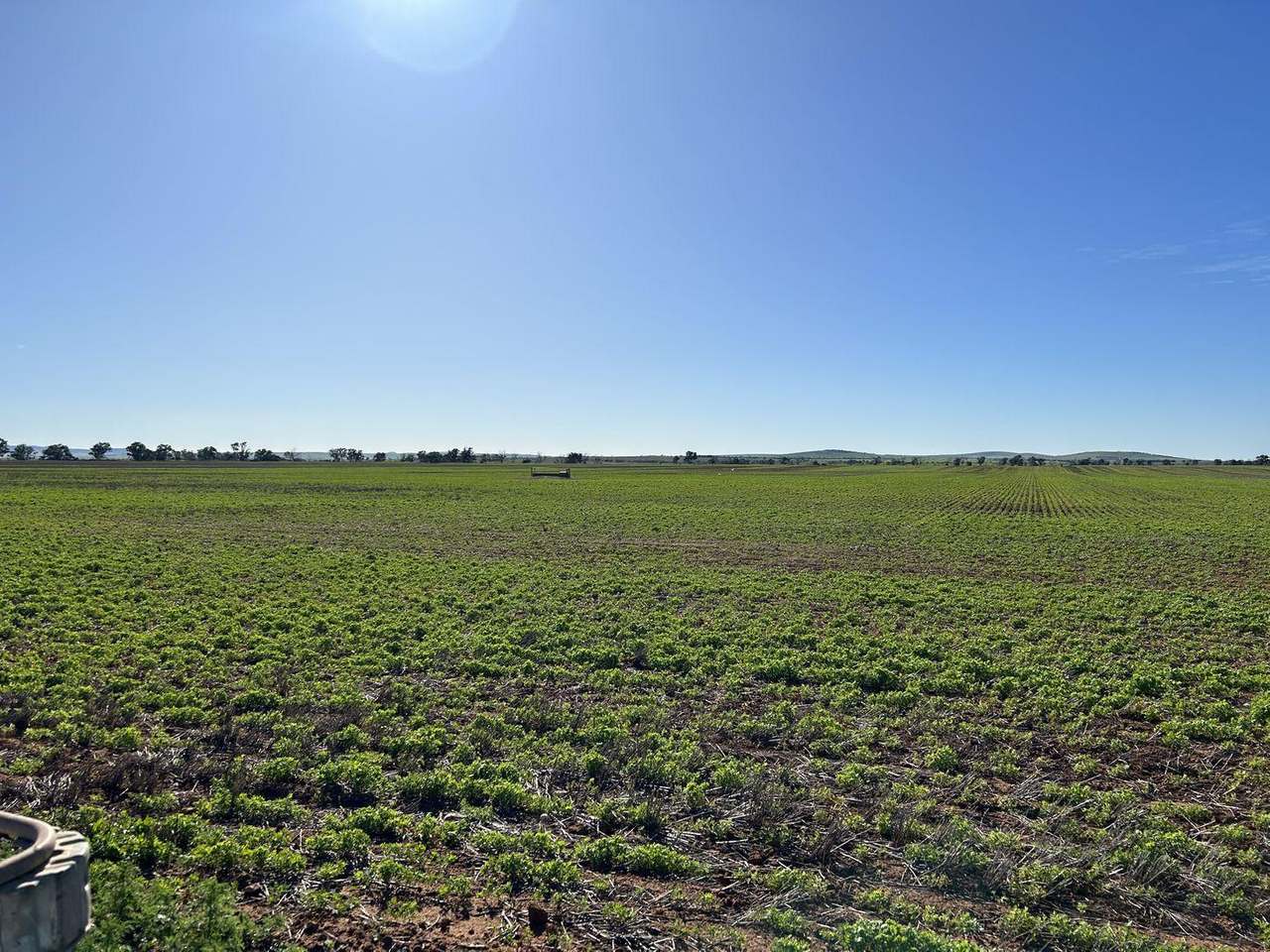 Bowmans Road & Borlace Road, Bowmans Expressions of Interest by Farmbuy.com - image 7
