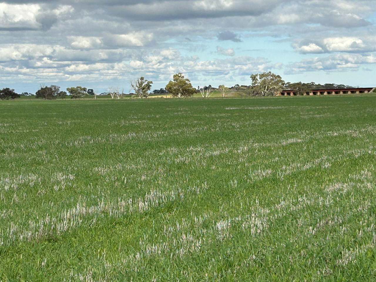 Bowmans Road & Borlace Road, Bowmans Expressions of Interest by Farmbuy.com - image 2