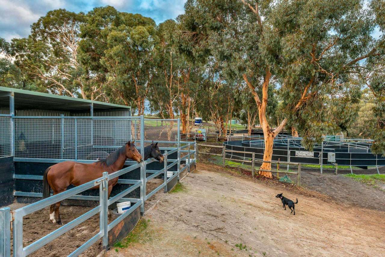 2 Ashmere Drive, Bullsbrook For Sale by Farmbuy.com - image 26