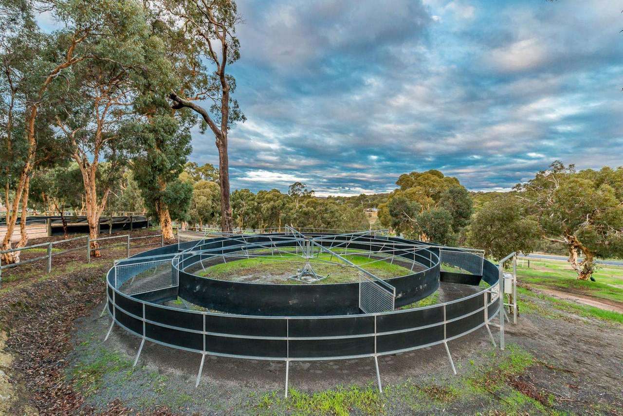 2 Ashmere Drive, Bullsbrook For Sale by Farmbuy.com - image 27