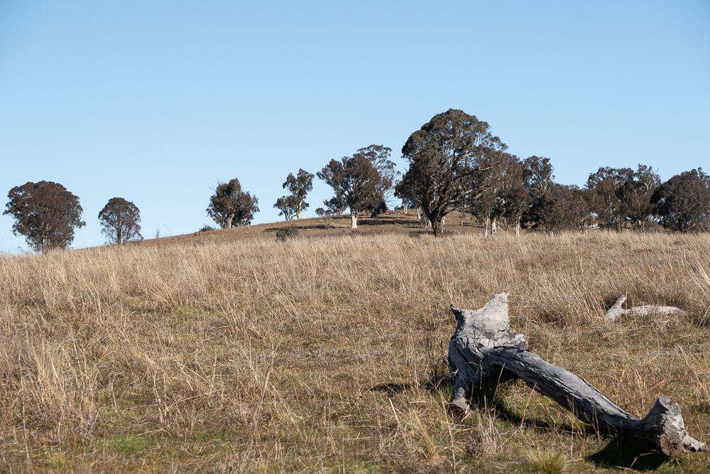 2090 Sutton Road, Sutton For Sale by Farmbuy.com - image 5