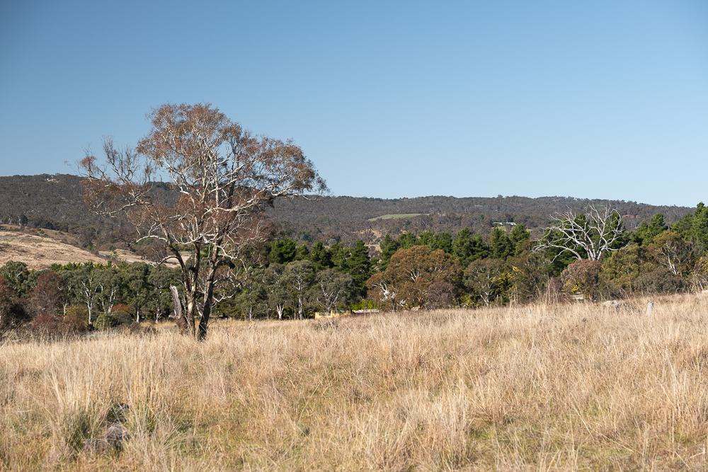 2090 Sutton Road, Sutton For Sale by Farmbuy.com - image 4