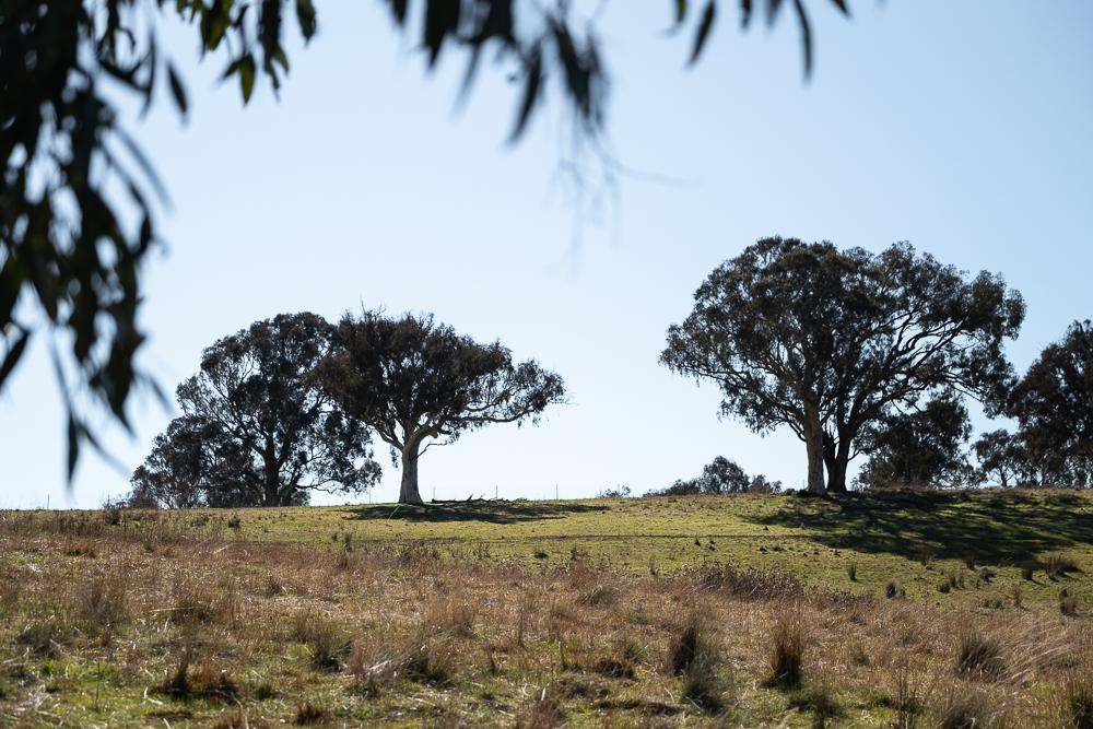 2090 Sutton Road, Sutton For Sale by Farmbuy.com - image 5