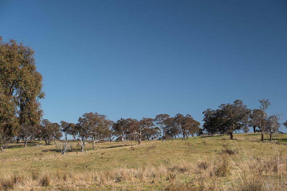 2090 Sutton Road, Sutton For Sale by Farmbuy.com - image 2
