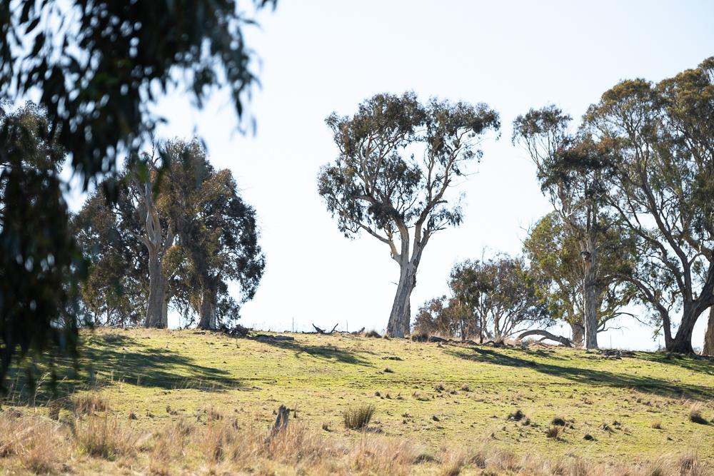 2090 Sutton Road, Sutton For Sale by Farmbuy.com - image 6