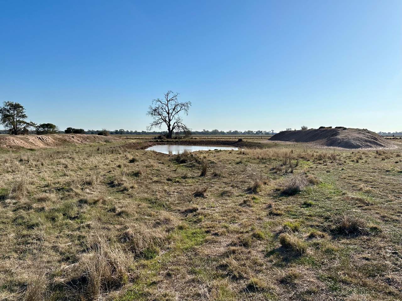 119 Womera Creek Road, Wee Waa Sold by Farmbuy.com - image 3