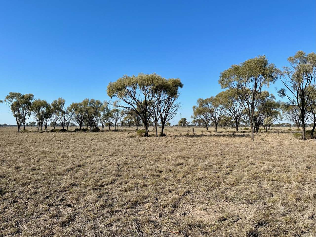119 Womera Creek Road, Wee Waa Sold by Farmbuy.com - image 8