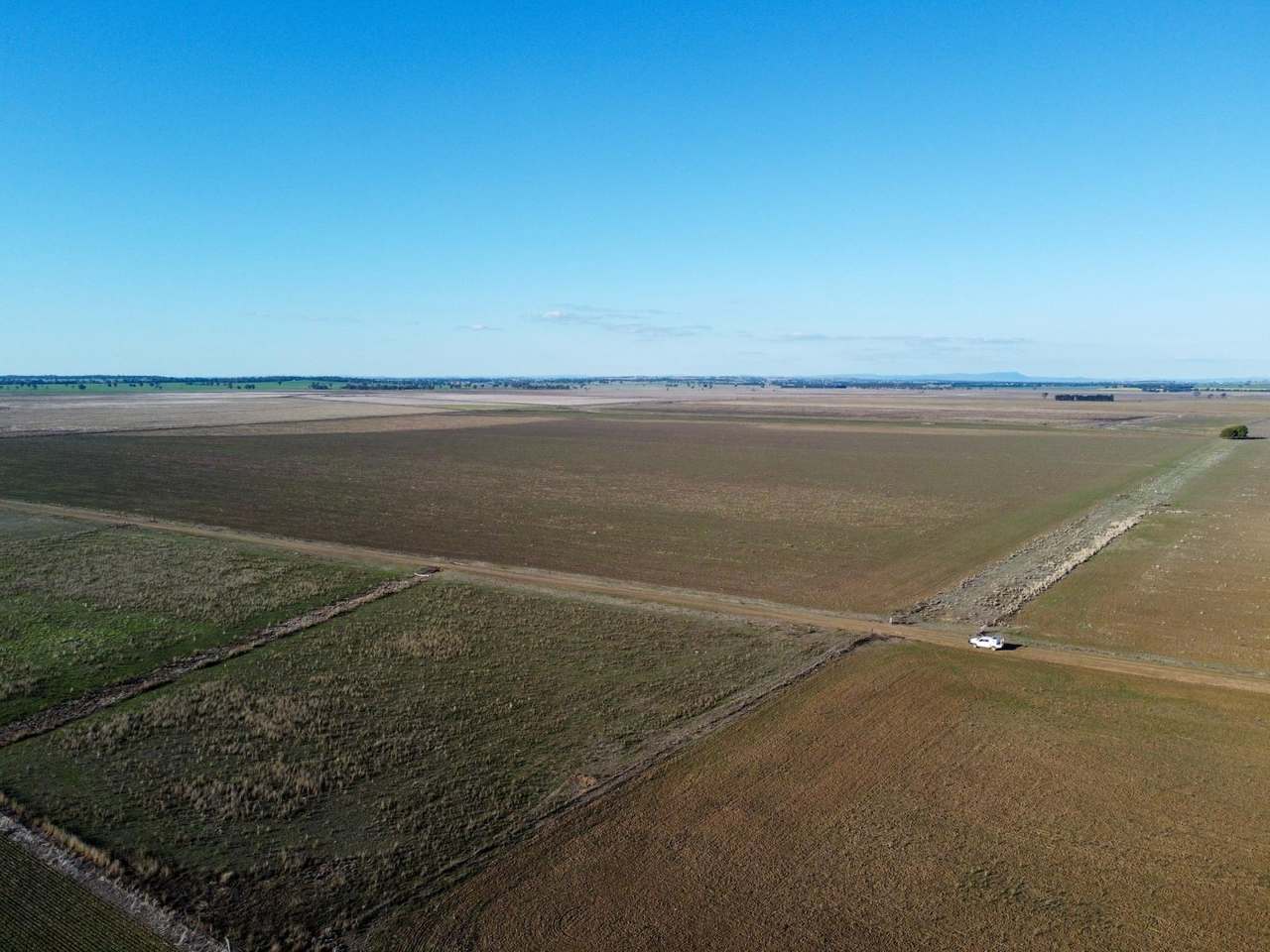 Bedgerabong Road, Forbes Sold by Farmbuy.com - image 3