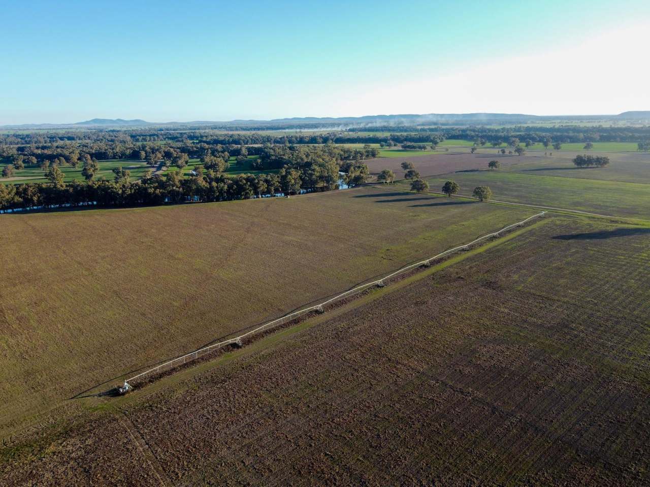 Bedgerabong Road, Forbes Sold by Farmbuy.com - image 2