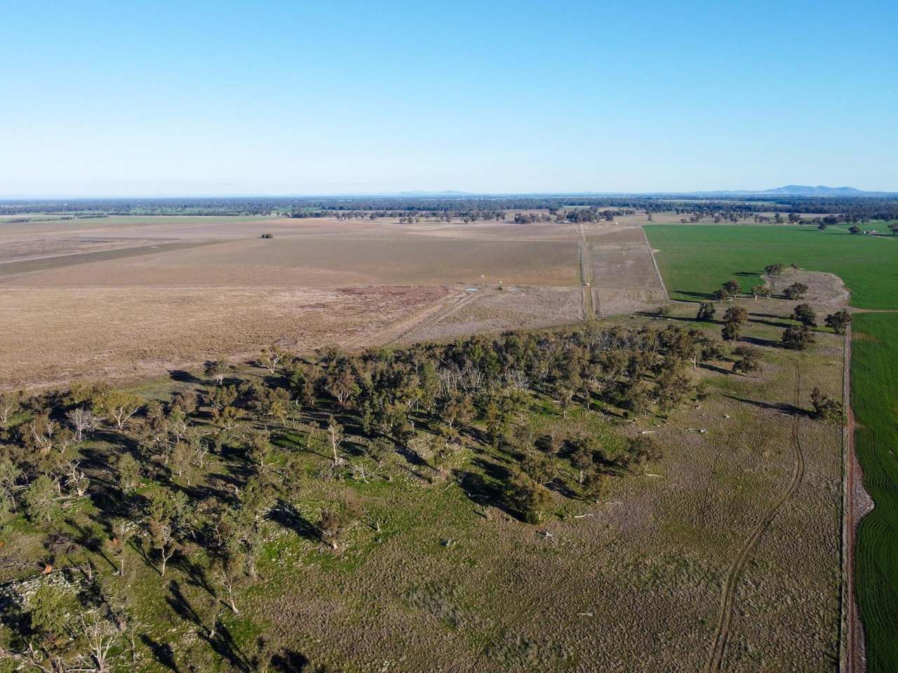 Bedgerabong Road, Forbes Sold by Farmbuy.com - image 4
