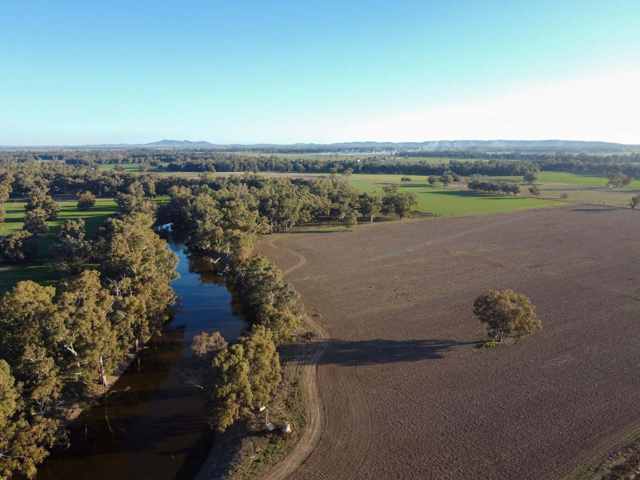 Bedgerabong Road, Forbes Sold by Farmbuy.com - image 5