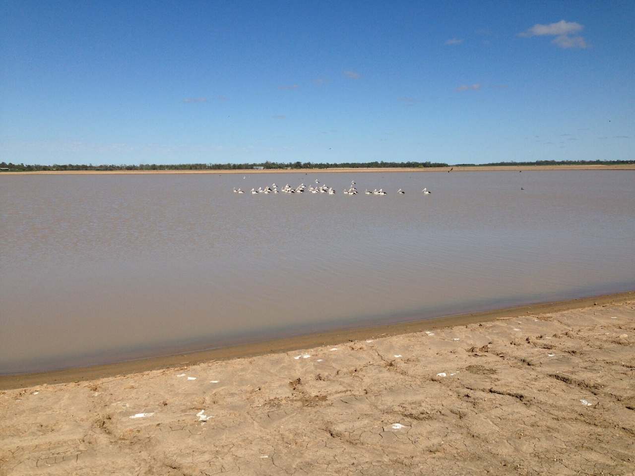 455 Bundoran Road, St George Auction by Farmbuy.com - image 6