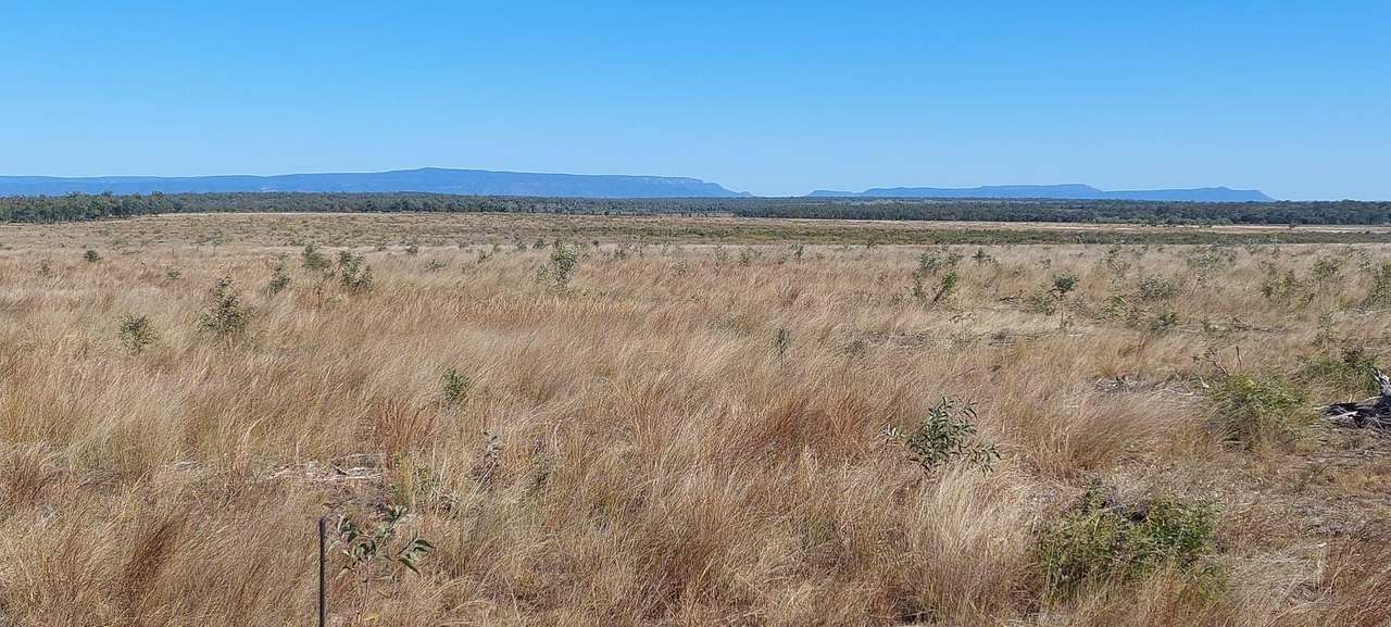  Capricorn Highway, Dingo Auction by Farmbuy.com - image 7