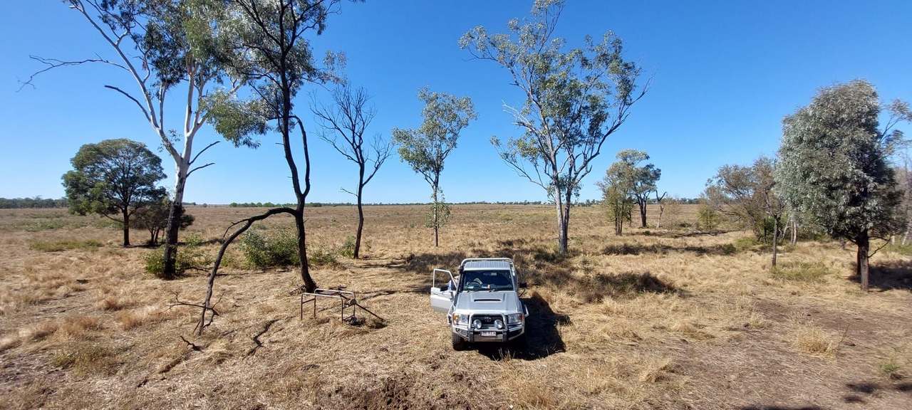  Capricorn Highway, Dingo Auction by Farmbuy.com - image 3