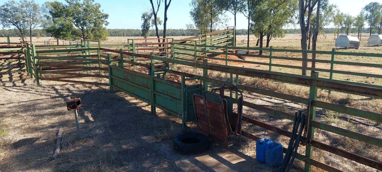  Capricorn Highway, Dingo Auction by Farmbuy.com - image 9