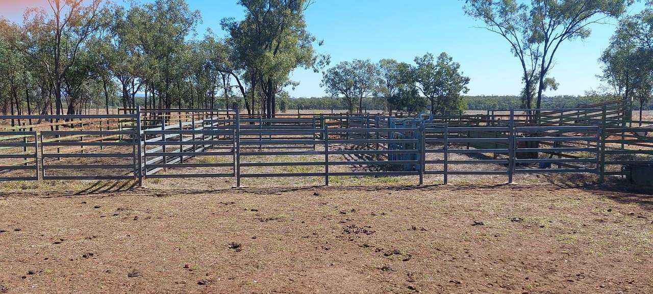  Capricorn Highway, Dingo Auction by Farmbuy.com - image 2