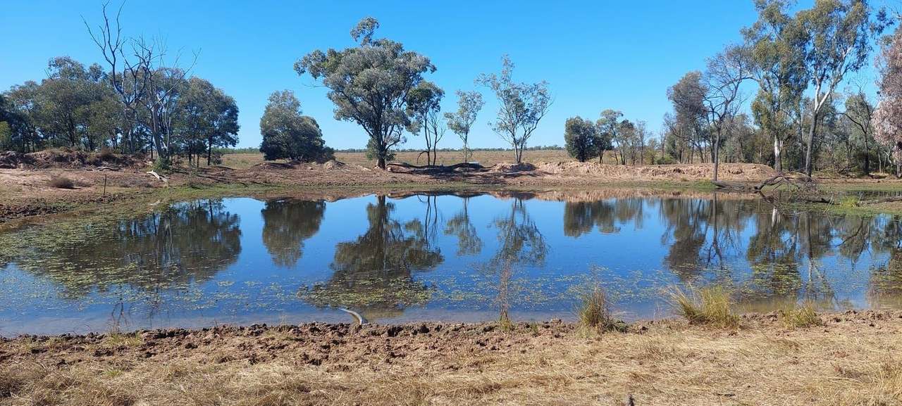  Capricorn Highway, Dingo Auction by Farmbuy.com - image 5