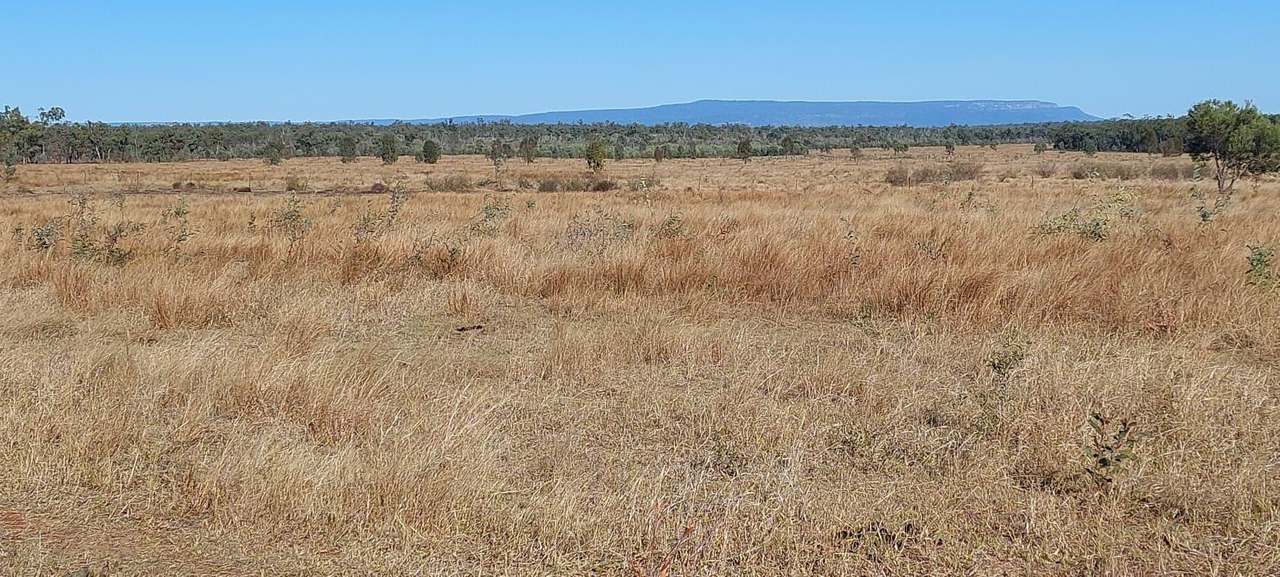  Capricorn Highway, Dingo Auction by Farmbuy.com - image 4