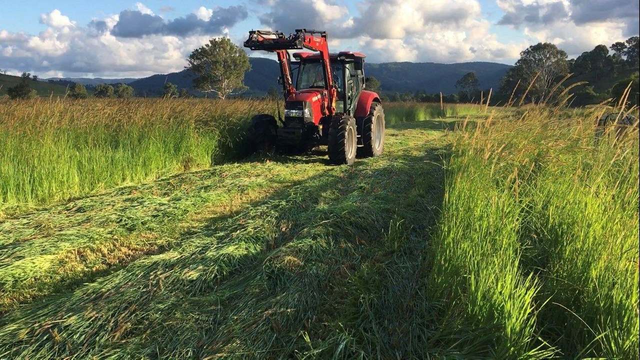 215 Eastern Mary River Road, Conondale For Sale by Farmbuy.com - image 16