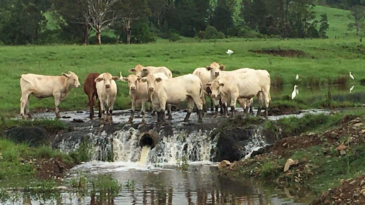 215 Eastern Mary River Road, Conondale For Sale by Farmbuy.com - image 19