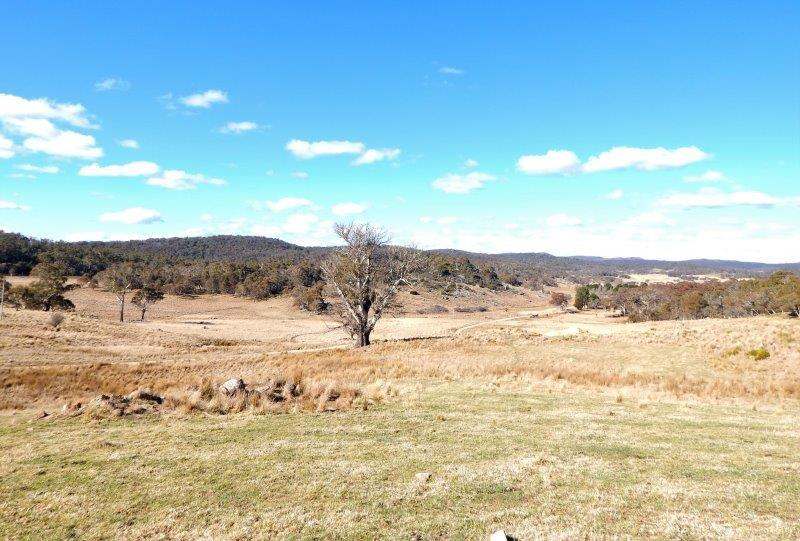 Lot 13 Hain's Road, Kybeyan Sold by Farmbuy.com - image 4