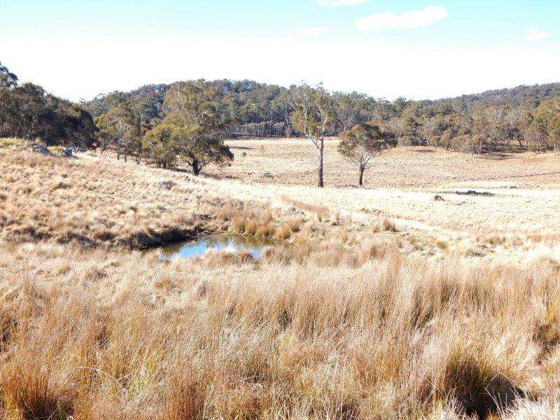 Lot 13 Hain's Road, Kybeyan Sold by Farmbuy.com - image 7