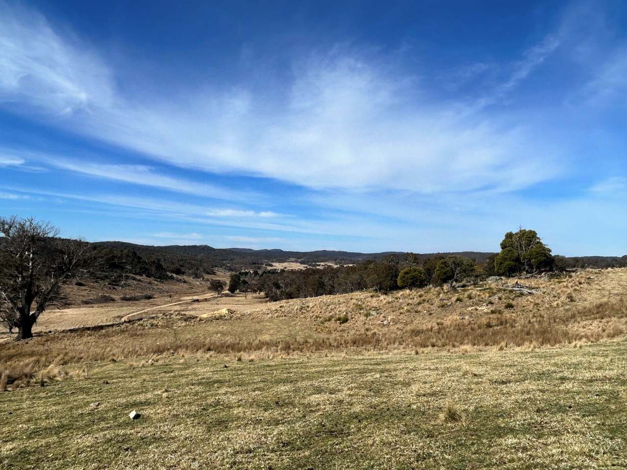 Lot 13 Hain's Road, Kybeyan Sold by Farmbuy.com - image 19