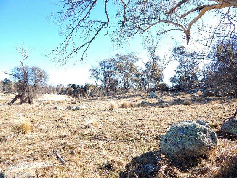 Lot 13 Hain's Road, Kybeyan Sold by Farmbuy.com - image 11