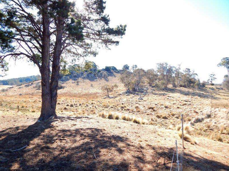 Lot 13 Hain's Road, Kybeyan Sold by Farmbuy.com - image 15