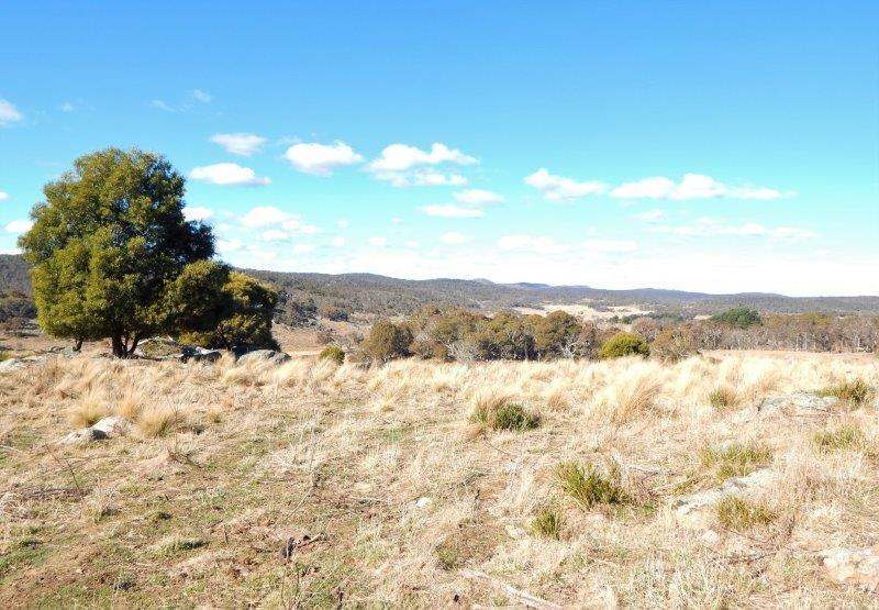 Lot 13 Hain's Road, Kybeyan Sold by Farmbuy.com - image 6