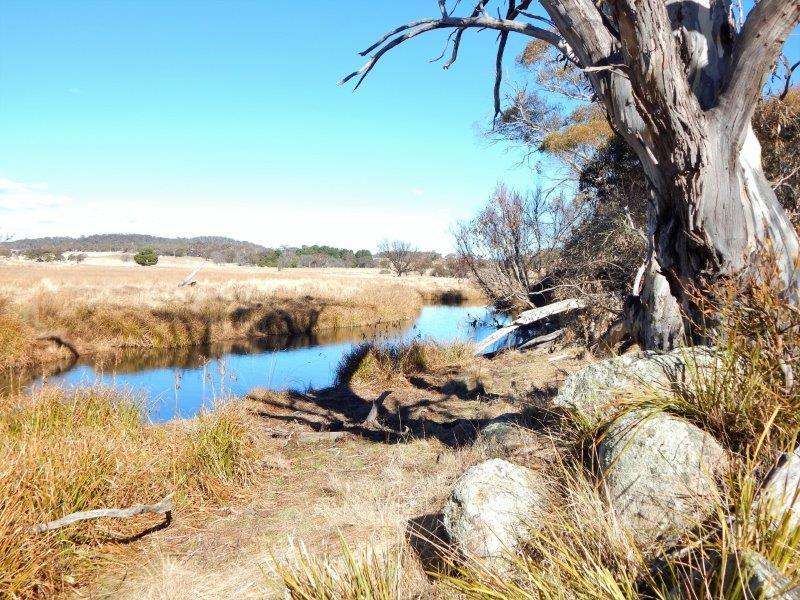 Lot 13 Hain's Road, Kybeyan Sold by Farmbuy.com - image 13