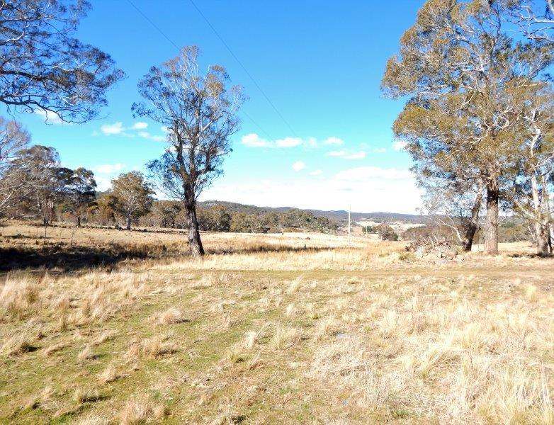Lot 13 Hain's Road, Kybeyan Sold by Farmbuy.com - image 2