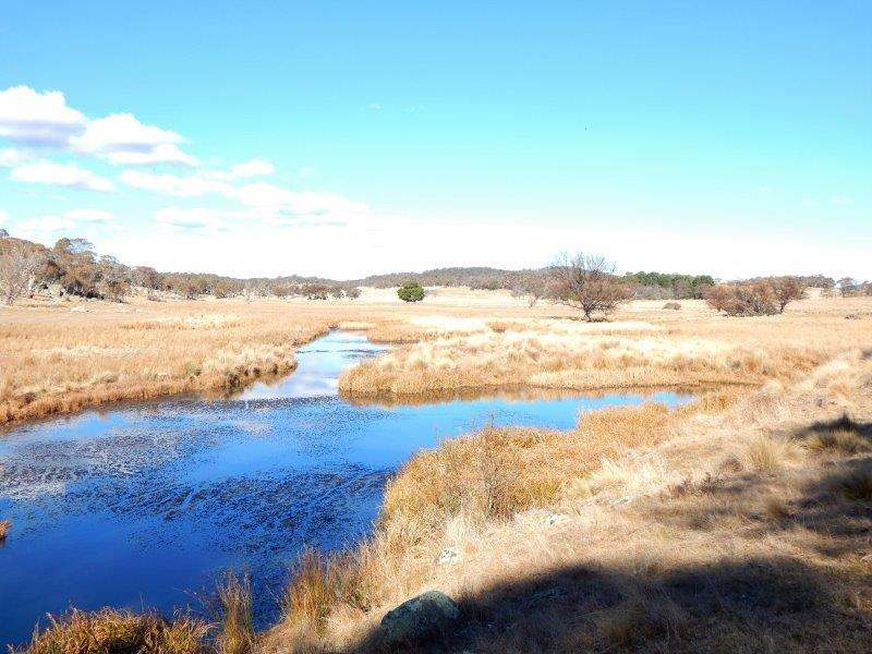 Lot 13 Hain's Road, Kybeyan Sold by Farmbuy.com - image 9