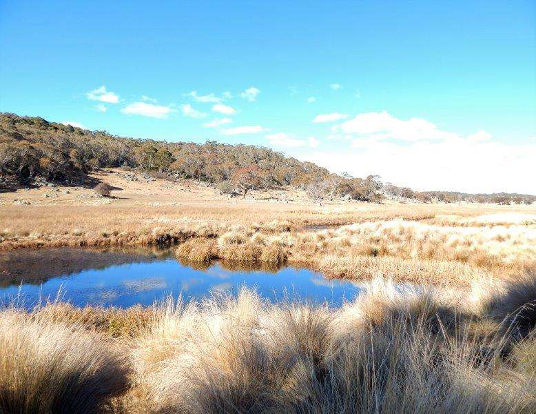 Lot 13 Hain's Road, Kybeyan Sold by Farmbuy.com - image 8