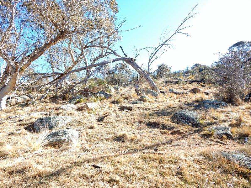Lot 13 Hain's Road, Kybeyan Sold by Farmbuy.com - image 10