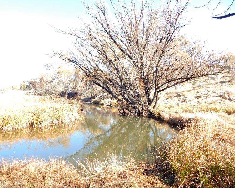 Lot 13 Hain's Road, Kybeyan Sold by Farmbuy.com - image 14