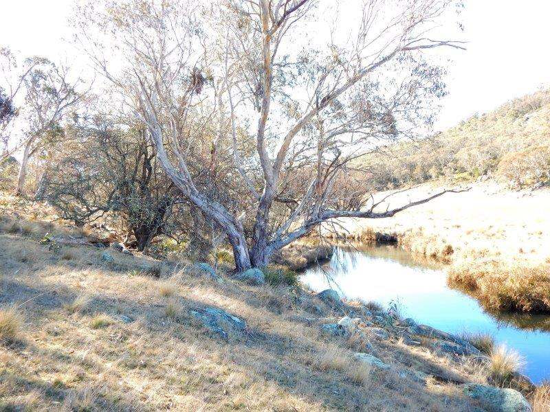Lot 13 Hain's Road, Kybeyan Sold by Farmbuy.com - image 12