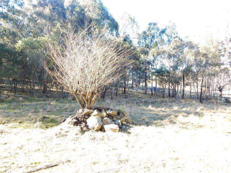 Lot 13 Hain's Road, Kybeyan Sold by Farmbuy.com - image 17