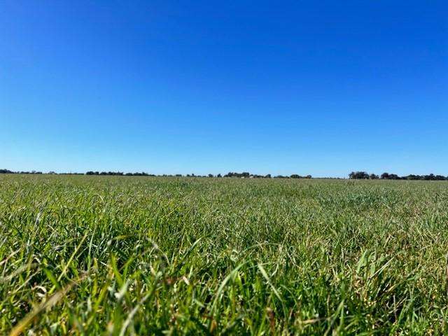 Gilbert Road, Coleambally Sold by Farmbuy.com - image 22
