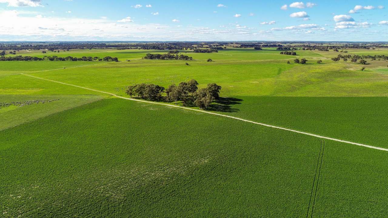 "Lucanda" 9950 Dukes Highway , Tintinara Sold by Farmbuy.com - image 20