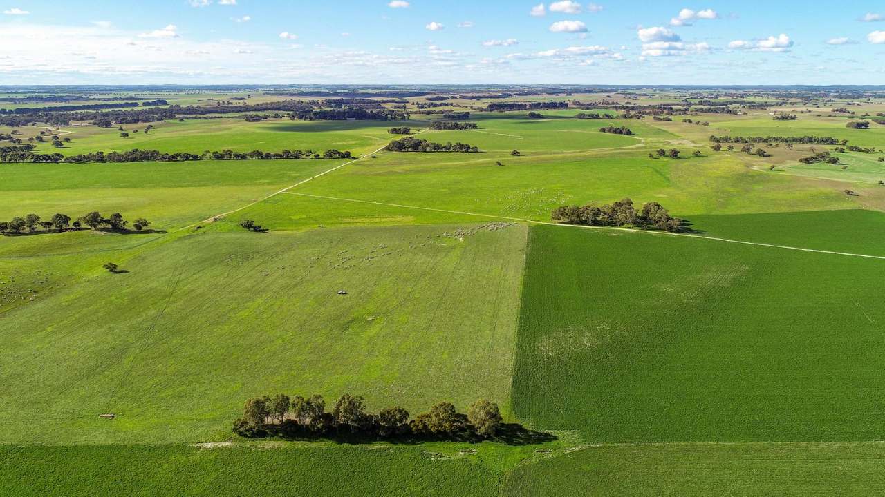 "Lucanda" 9950 Dukes Highway , Tintinara Sold by Farmbuy.com - image 21