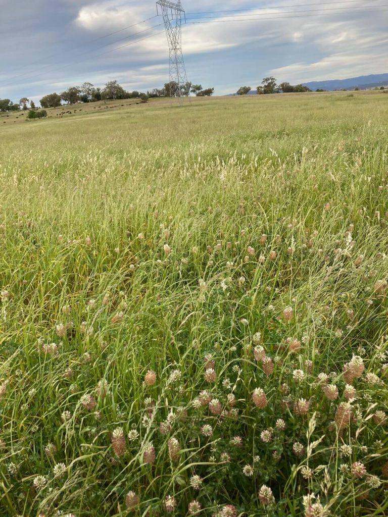 1049 Kia Ora Lane, Loomberah For Sale by Farmbuy.com - image 13