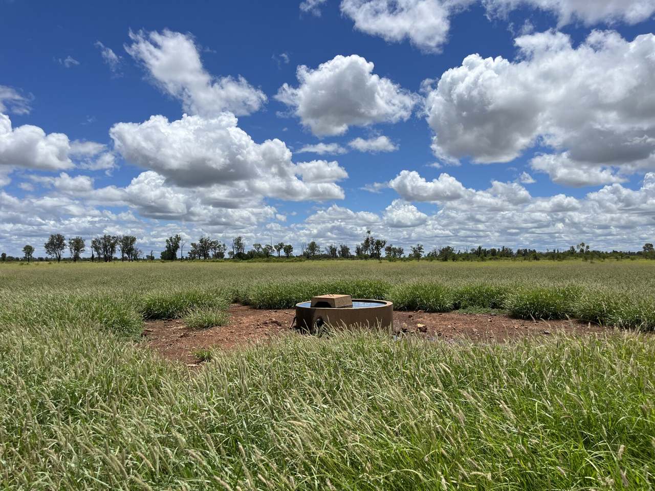 13724 Mitchell Saint George Rd, St George For Sale by Farmbuy.com - image 6