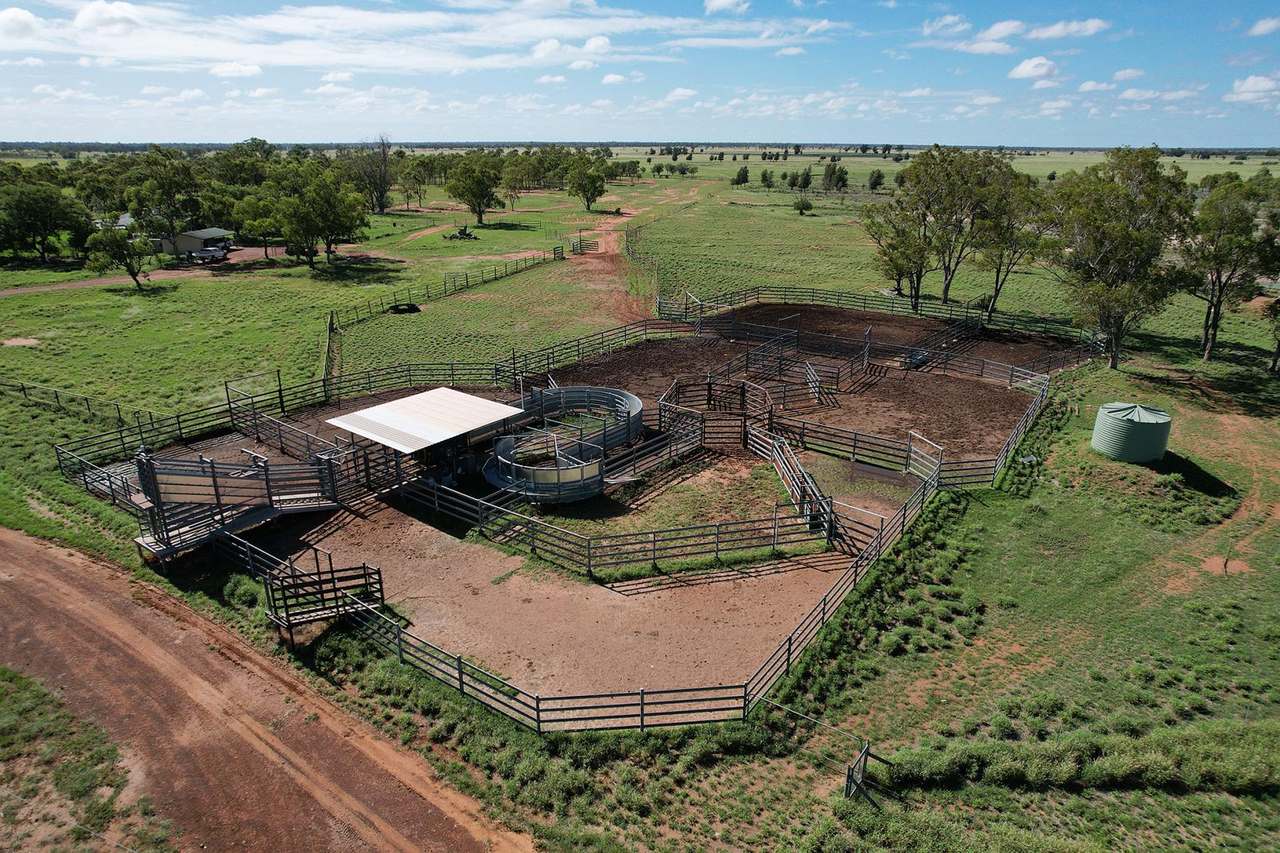 13724 Mitchell Saint George Rd, St George For Sale by Farmbuy.com - image 12