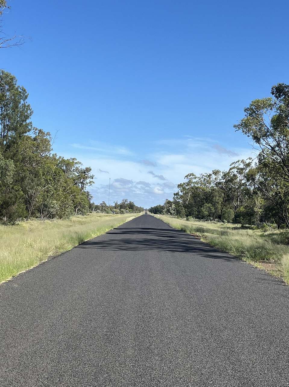 13724 Mitchell Saint George Rd, St George For Sale by Farmbuy.com - image 15